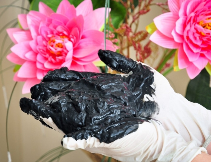 Грязевые процедуры - Оздоровительные услуги - Санаторий «Солнечный» Кисловодск