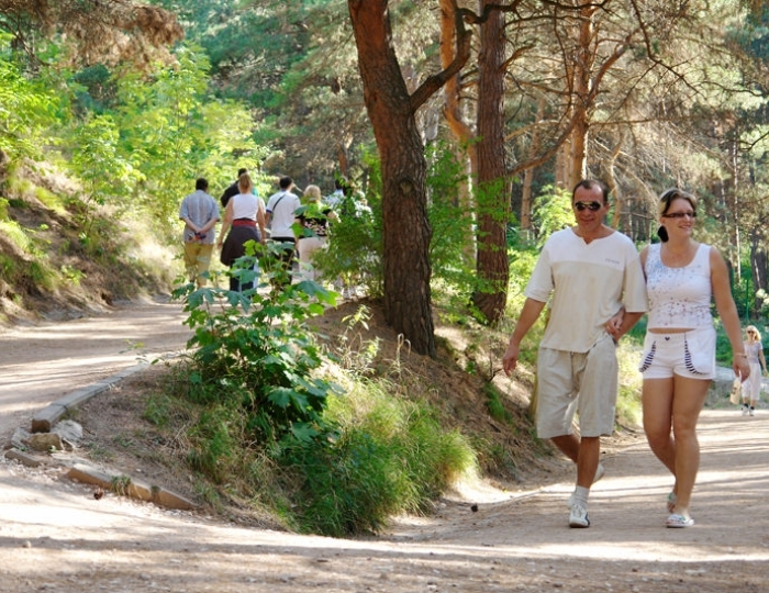 Терренкур - Оздоровительные услуги - Санаторий «Солнечный» Кисловодск
