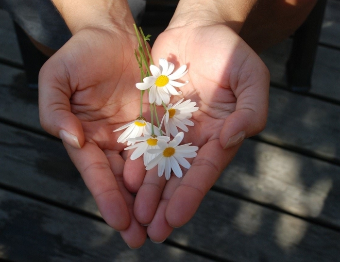 Восстановление после коронавируса в санатории - Оздоровительные услуги - Санаторий «Солнечный» Кисловодск